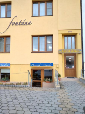 Pension Fontana